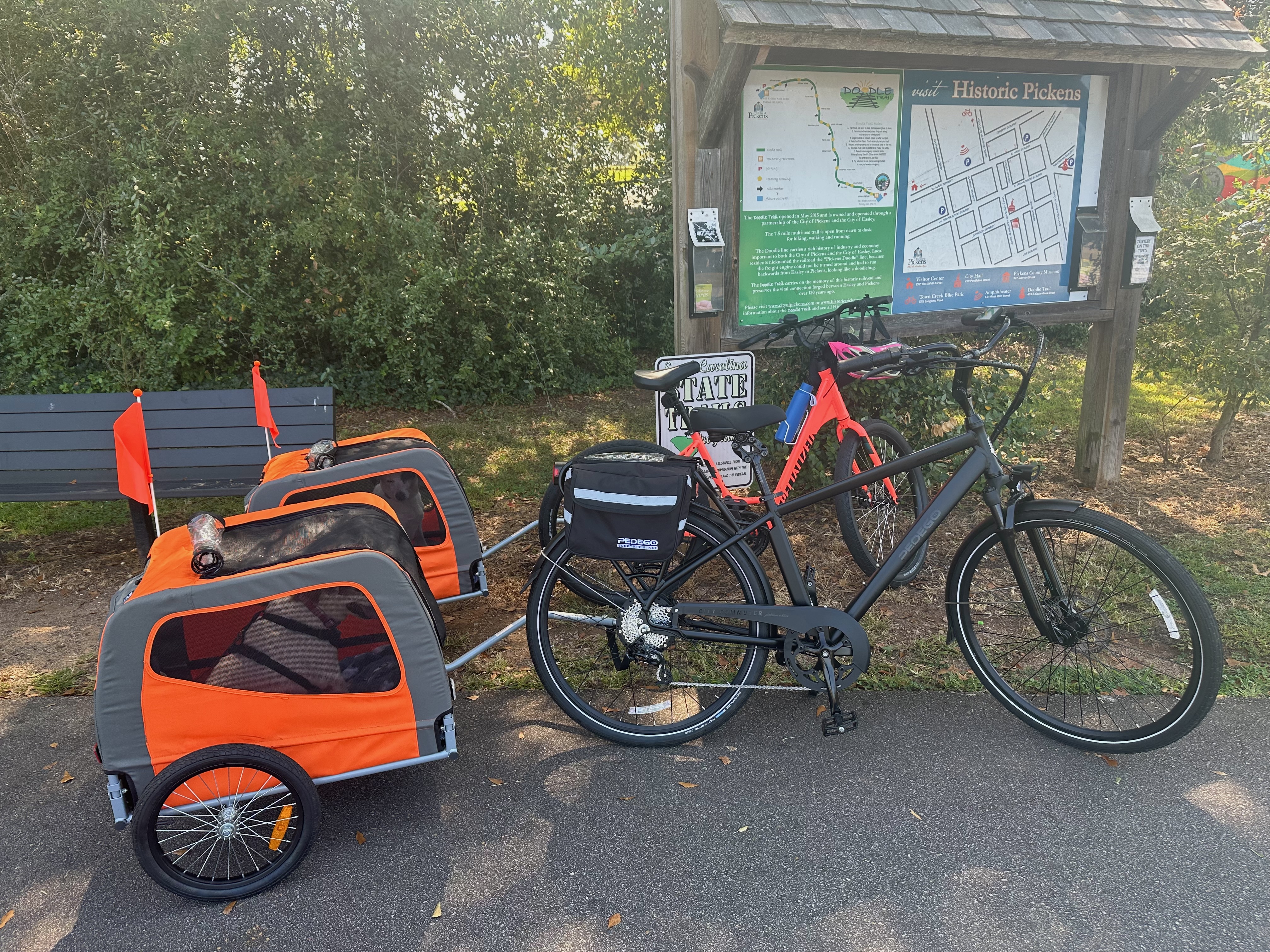 Bikes with dogs in their trailers